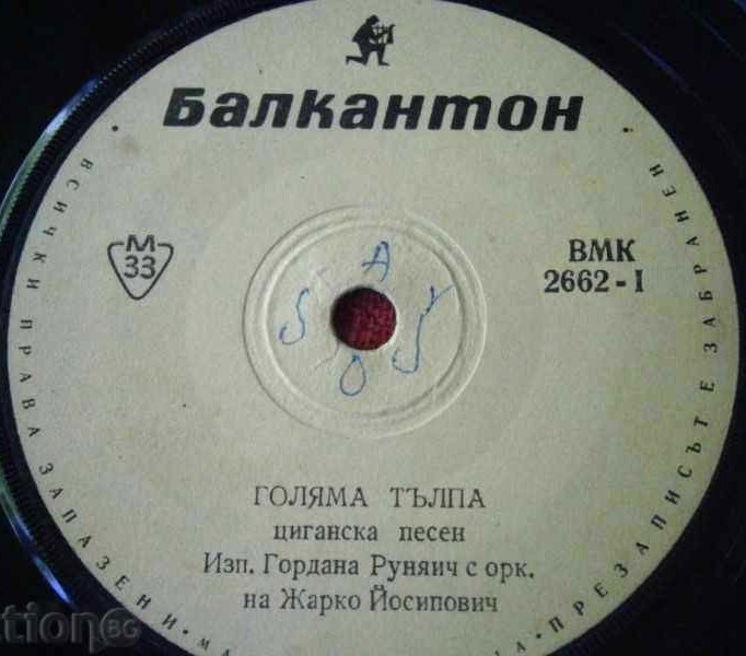 Гордана Руняич изпълнява цигански песни