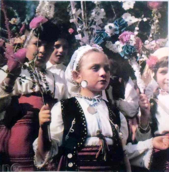 Славянски комитет в България. "Татковина" (т. П. Р. Славейков)
