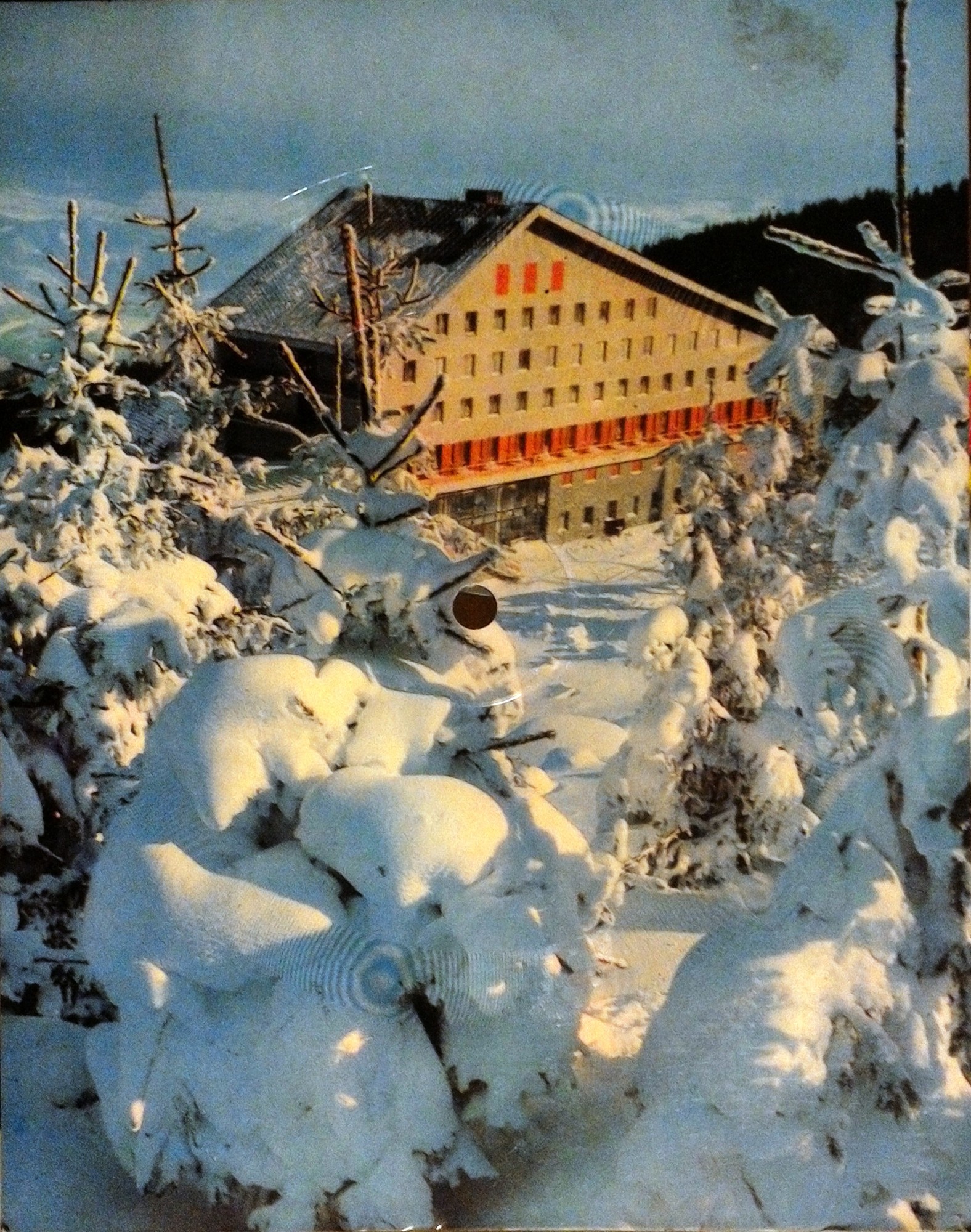 Славянски комитет в България. "Татковина" (т. П. Р. Славейков)