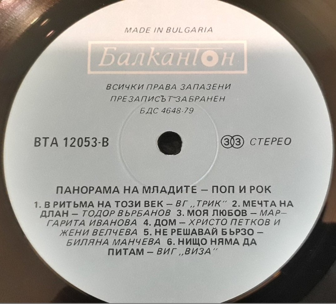 Панорама на младите поп и рок
