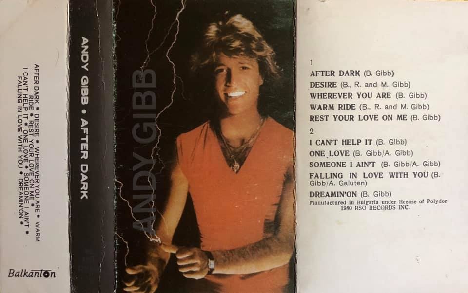Andy GIBB. After Dark