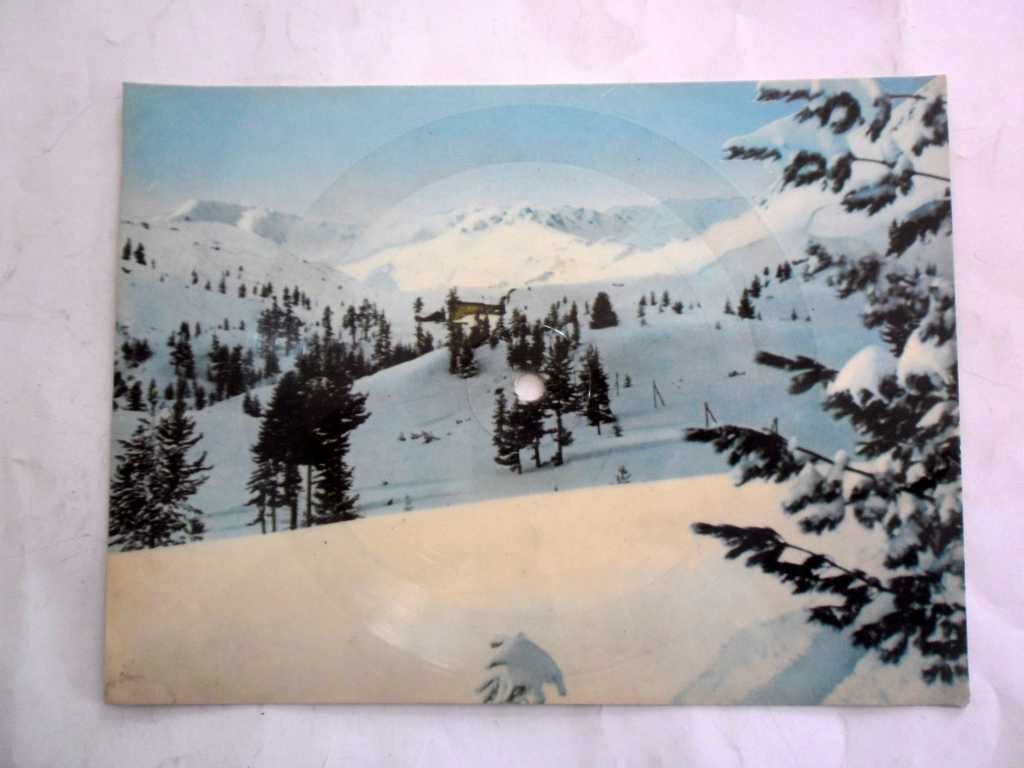 Сняг се сипе над гората — Ек. Ванкова-Коларова
