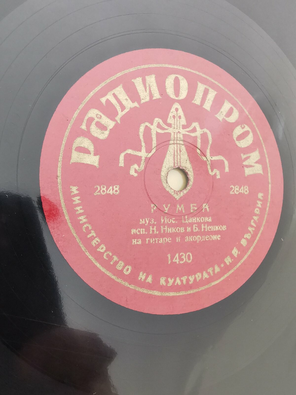 С китара и акордеон / Пролетни мечти